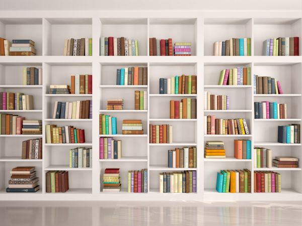 Bookshelf Assembly in Great Falls