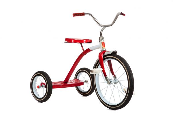 Tricycle Assembly in Great Falls